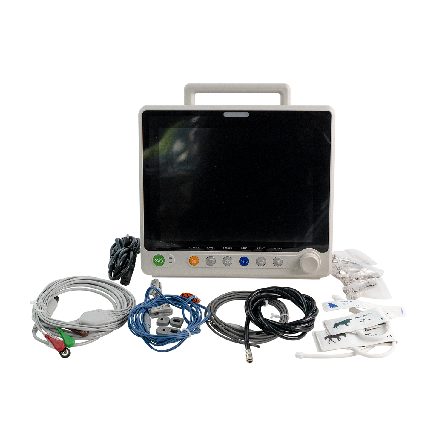 PM6000V (3)