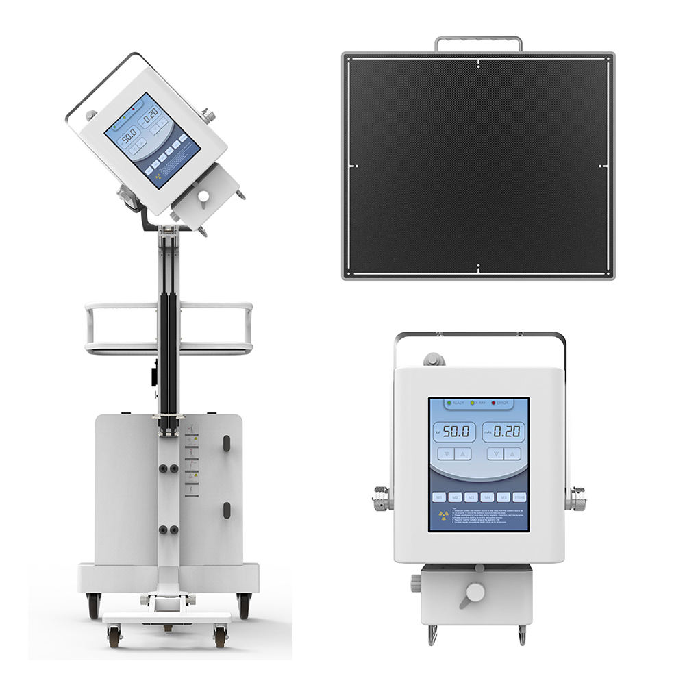 x-ray veterinary
